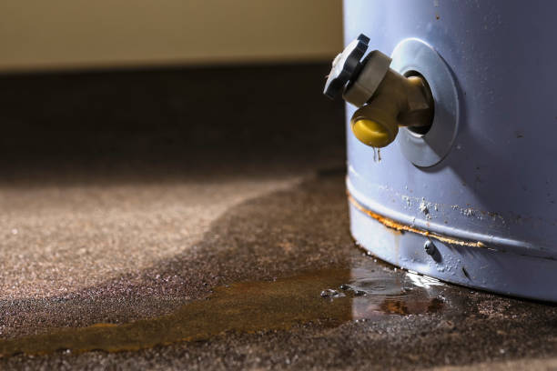 Best Water damage restoration specialists  in North Liberty, IA