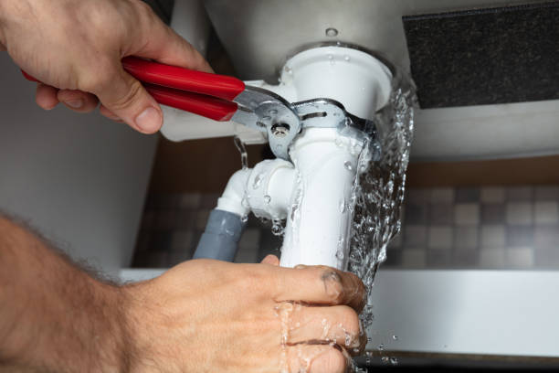 Best Fire Damage Restoration  in North Liberty, IA