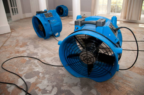 Best 24/7 water damage repair  in North Liberty, IA