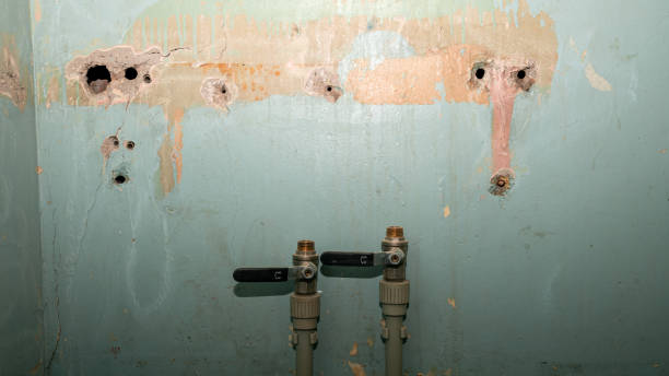 Best Flood restoration services  in North Liberty, IA