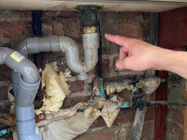 Best Water damage cleanup near me  in North Liberty, IA