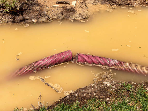 Best Water damage restoration company  in North Liberty, IA