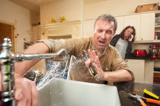 Best Basement water damage restoration  in North Liberty, IA